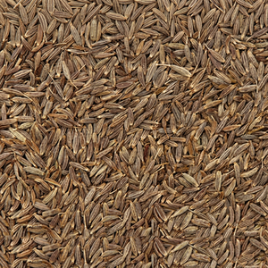 Graines de Jeera indiennes fraîches de qualité supérieure, cumin entier pour le commerce en gros d'épices et les marchés alimentaires mondiaux - Product Image 1