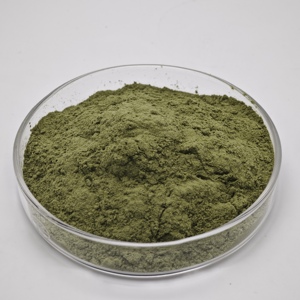 Polvere di Succo di Superfood Vegetale Verde OEM Private Label: Kale, Erba di Grano e Erba d'Orzo - Product Image 2