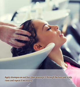 Échantillon Gratuit Shampoing Réparateur au Gingembre Hydratant Anti-Chute de Cheveux - Product Image 4