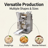 Machine à raviolis automatique multifonctionnelle, moules interchangeables, moteur haute capacité 100 pièces/min, double tension 220V/110V pour samosas