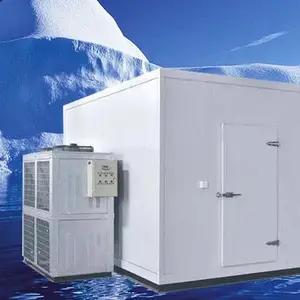 Customizable 4x 3 x 2.8m Cold Room -18'C 1Ph 220V 50HZ Or 3Ph 380V 50HZ Storage Cold Room R404 4HP Air Cooling condensing unit