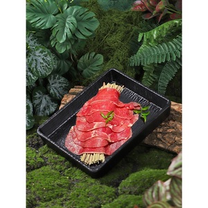 Rectangular Melamine Grill <b>Plate</b> Stackable Solid Color For Hotel Food Party Steak Serving - Product Image 3