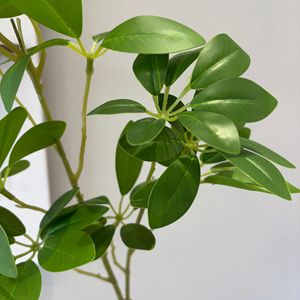 Plante artificielle Schefflera Secret Garden 80cm en PVC, feuilles vertes et blanches, décoration intérieure et extérieure - Product Image 4