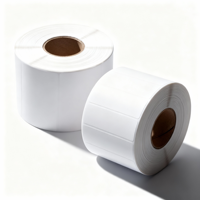 Autocollant adhésif en papier synthétique anti-rayures Zexu (forme irrégulière) pour imprimantes Godex et étiquetage de boîtes à chaussures Modèle T5