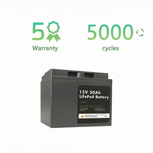 12v 50 Ah LIFEPO4 Lithium Ion Battery - Product Image 2