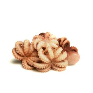 Hrvst Chef39s Market Pulpo Entero Congelado al Vapor, 4 Unidades, 5.5 Lb Cada Una, Paquete de 22 Lb, de Origen Sostenible - Product Image 1