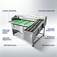 Machine de triage automatique des œufs par poids, type à rouleaux en acier inoxydable 304, pour l'élevage avicole et le traitement des œufs