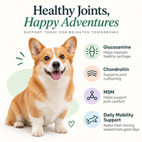 Complément alimentaire pour chiens, comprimés à mâcher souples, glucosamine, chondroïtine, MSM, soutien des hanches et des articulations, mobilité, toutes races et tous âges, OEM ODM