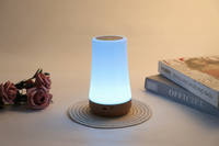 Lampe LED moderne à télécommande tactile, veilleuse à couleur RGB réglable, variateur d'intensité, minuterie, batterie rechargeable longue durée