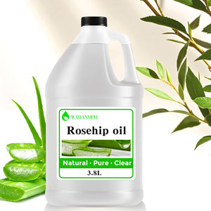 Aceite de <span class=keywords><strong>Aloe</strong></span> Vera 100% Puro y Orgánico, Prensado en Frío, Aceite Portador para Cabello y Piel, Precio al por Mayor - Product Image 3