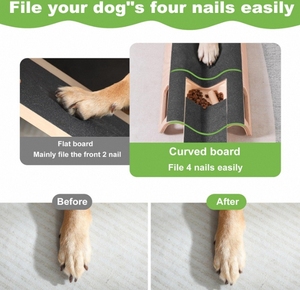 Luxury Square Dog <strong>Scratch</strong> <strong>Pad</strong> with Treat Box Durable Board for Nail Care and Comfort Pet Grooming Product - Product Image 2