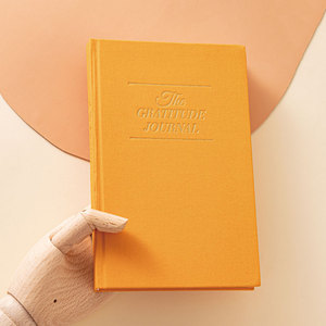 <span class=keywords><strong>Journal</strong></span> de gratitude LABON : Guide quotidien, planificateur de pleine conscience, carnet de gratitude pour femmes et hommes - Product Image 4