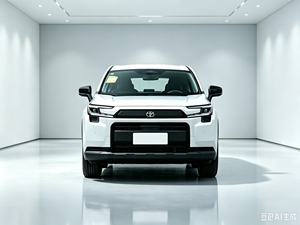 <span class=keywords><strong>Toyota</strong></span> <span class=keywords><strong>Rav4</strong></span> 0KM Auto Usata Rav <span class=keywords><strong>4</strong></span> Prodotta in Cina Veicolo a Benzina 2.0L L4 - Product Image 4