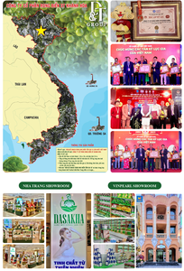 กรงนกโอกินาวะและเครื่องดื่มเยลลี่องุ่นรสมะม่วงพร้อมรับประทาน30กรัมแพ็คจากเวียดนามในบรรจุภัณฑ์ถุง - Product Image 3