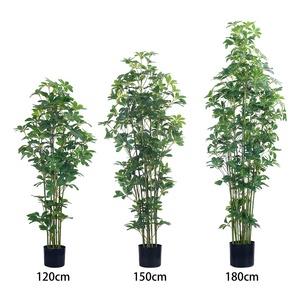 Árbol Bonsái Artificial <span class=keywords><strong>de</strong></span> <span class=keywords><strong>Schefflera</strong></span>, Plástico Ecológico Resistente a los Rayos UV, 120cm-180cm, Decoración para el Hogar y el Jardín - Product Image 6