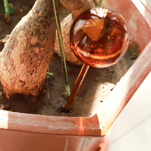 हॉट सेलिंग नवीनतम डिजाइन लंबे स्पैट टिकाऊ पर्यावरण के अनुकूल ग्लास पानी अर्ध-स्वचालित उद्यान जल कर सकते हैं 0.4l क्षमता - Product Image 4