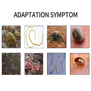 Gia súc và cừu tẩy giun tẩy giun nội bộ không có tác dụng phụ phụ gia thức ăn hỗn hợp - Product Image 5