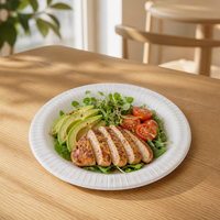 Conteneurs alimentaires jetables biodégradables personnalisés de 10 pouces, assiettes pour dîner, restaurant, banquet, traiteur, avec logo imprimé