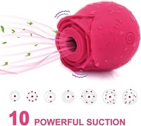 Bestseller 10-Gang Klitoris-Saugvibrator für Frauen Brustwarzen-Stimulator Silikon-Rose Sexspielzeug Weiblicher Masturbator Erotikspielzeug