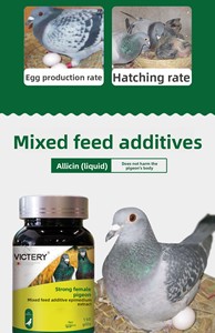 Médicament pour pigeons : Produit de santé pour pigeons femelles à base d'œufs de centenaire à coquille molle, durée de conservation de 2 ans - Product Image 6