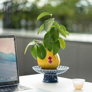 Assiette à fruits en céramique sur pied, forme de fleur, en porcelaine, style traditionnel chinois, plat à collation pour le thé, résistant à l'eau, plateau main de Bouddha - Product Image 3