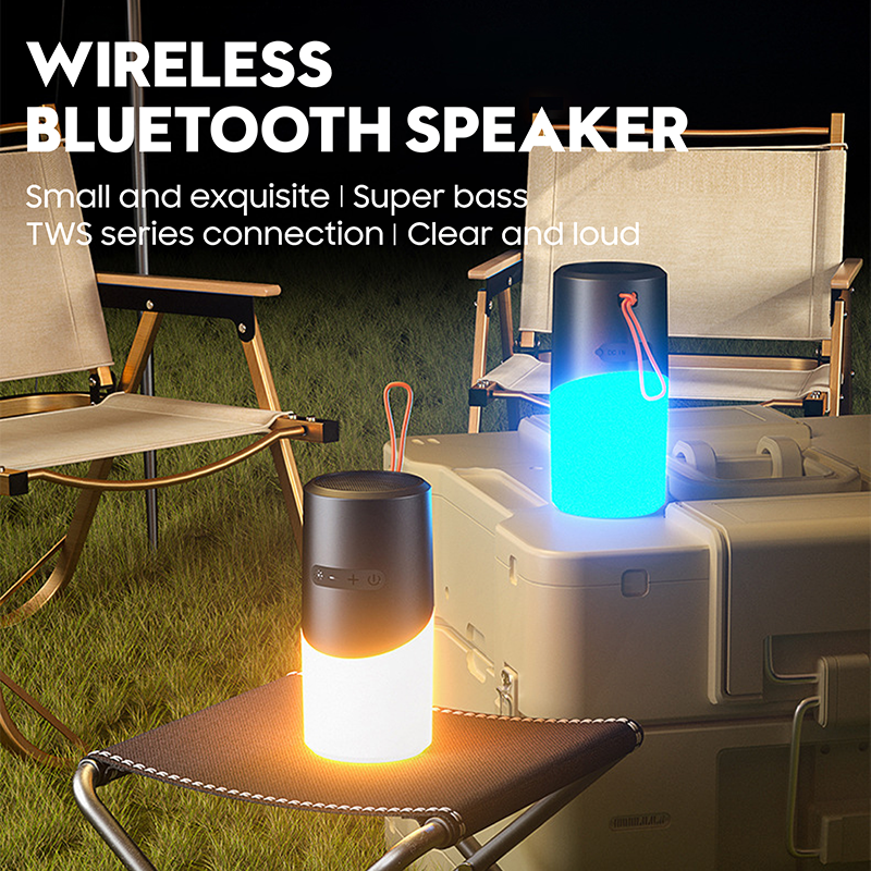 Portable Bluetooth Speaker with LED Dynamic Lights Mulit Function Night ...