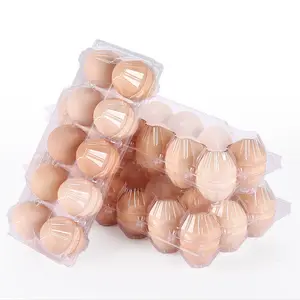 Factory Direct Supply 12 18 Holes 24 30 Cells Pvc Plastic Clear Egg Packaging Container Plastic Quail Egg Tray