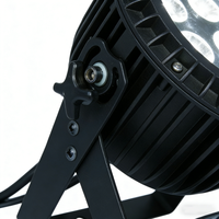 Projecteur LED professionnel en aluminium pour scène, IP65, étanche en extérieur, RGBW 4-en-1, lumières disco colorées DMX
