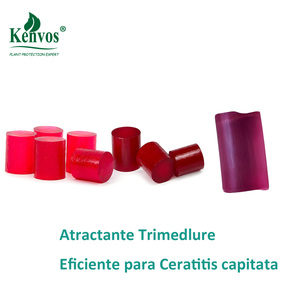 Trampa de Feromonas Trimedlure para Ceratitis Capitata |   Control de la <span class=keywords><strong>Mosca</strong></span> del Mediterráneo en los Cítricos |   Mayorista Perú - Product Image 1