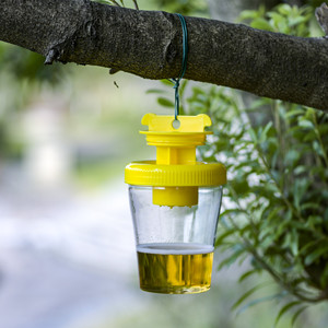 Trampas para Moscas de Plástico, Portátiles, de Una Sola Botella, para Control de Insectos Voladores en el Césped - Product Image 5