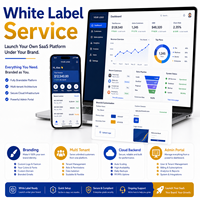 Desarrollo de Software SaaS de Marca Blanca con Desarrollo de Software en China para Plataformas Empresariales en la Nube
