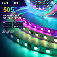 Conception de contrôle IC externe flexible pour bande LED RGB SM16703 SMD5050 DC24V 14.4W/m 10 Pixels/m PCB 10mm Isolation des défauts ODM UKCA