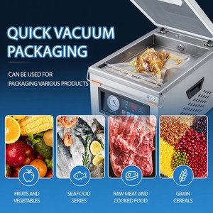 Selladora al Vacío de Acero Inoxidable, Máquina de Envasado al Vacío de Sobremesa para Alimentos Secos y Húmedos, Carne, Mariscos, Granos de Café - Product Image 6