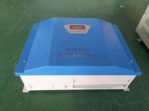 Sistema Híbrido Eólico Solar de 3KW 48V 120V 220V 240V con Controlador de Carga de Descarga y Tecnología Avanzada WWS30 para Uso Eólico - Product Image 3