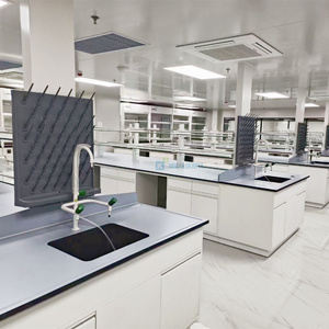 Precio de muebles de laboratorio, venta al por mayor, banco de laboratorio anticorrosivo con ácido y álcali, banco de trabajo superior para medicina, física y laboratorio de química - Product Image 6