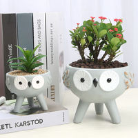 Pot de fleurs créatif en céramique, mignon, motif dessin animé, pour plantes succulentes, petit, simple, pour bureau ou maison, en forme d'animal
