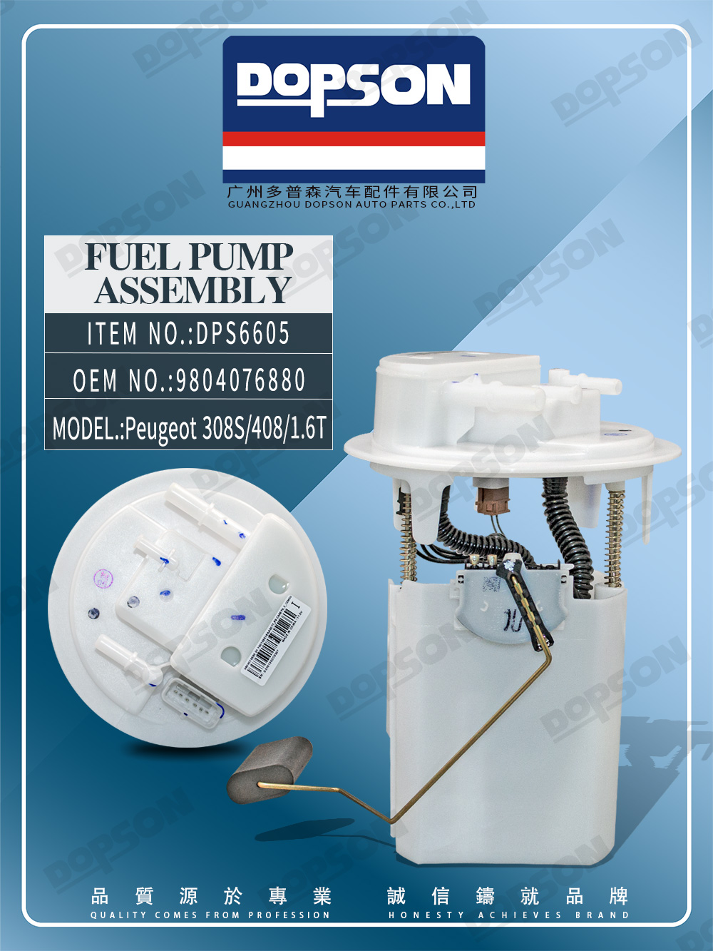 DPS6605/9804076880 Fuel Pump Assembly for Peugeot 308S