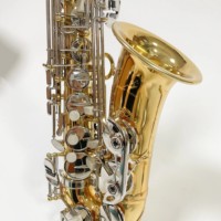 Woodwind Instrument Eb Alto Saxophone With Carrying Case & Full Accessories, Beginner Level E-flat Alto Sax Musical Accessory
