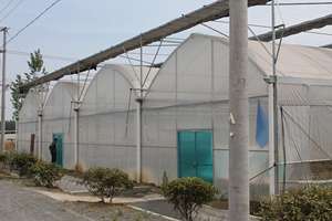 Película de polietileno de alta calidad, estructura Simple y económica, <span class=keywords><strong>casa</strong></span> verde - Product Image 5