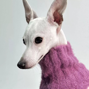 Bonita ropa para mascotas, suéter de lana ecológico súper cálido de doble capa para Dachshund Greyhounds, perros y gatos pequeños y medianos - Product Image 2