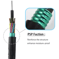 Câble à fibre optique blindé souterrain extérieur Corning 2700N HDPE 12, 24, 48, 96, 144 fibres, GYTS 6, 8 fibres, 2KM, 3KM, 4KM - Prix