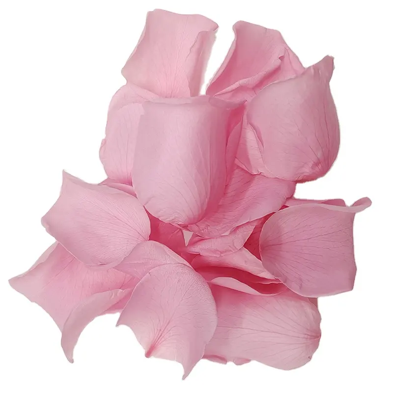 40g/Box Long Lasting Eternal Forever Rose Petals Flower DIY Material For Home Wedding Decoration
