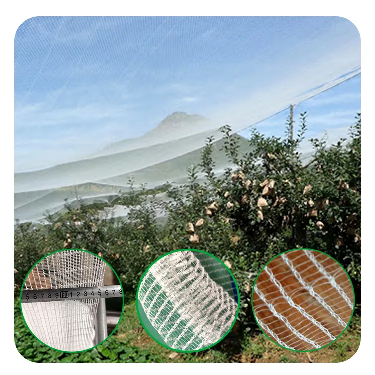 Bitkiler koruma doludan koruma ağı/sera böcek geçirmez örgü/tarımsal plastik ürünler anti-arı netleştirme