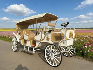 Charrette touristique électrique vintage <span class=keywords><strong>de</strong></span> luxe à 4 roues, stable, pour le transport <span class=keywords><strong>de</strong></span> passagers - Product Image 4