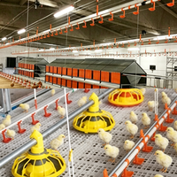 Nouveaux abreuvoirs et mangeoires entièrement automatiques en plastique PP pour poulets de chair