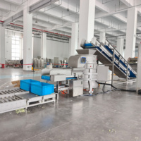 Luchtbellen druiven champignons spinazie tomaat fruit en groente was- en reinigingsproces reinigingsmachine apparatuur voor champignons