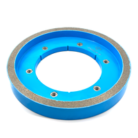 Meule diamantée humide de 250 mm avec pores sphériques brevetées, haute dureté et personnalisable en OEM