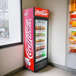 Refrigerador <span class=keywords><strong>Vertical</strong></span> de Bebidas con Puerta de Vidrio Simple de 300L, Refrigerador Comercial de Exhibición para Tiendas de Conveniencia - Product Image 4