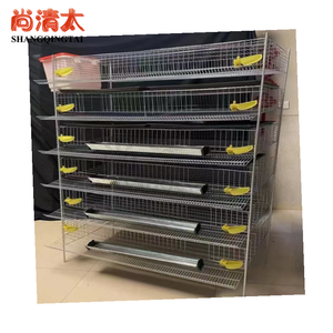 Commercio all'ingrosso nuovo stato H-tipo gabbie di quaglia uso domestico uccello di produzione di uova di materiale plastico <span class=keywords><strong>per</strong></span> gabbie <span class=keywords><strong>per</strong></span> animali da allevamento di polli - Product Image 5