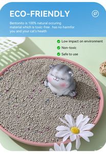 Échantillon Gratuit – Litière pour Chat Sphérique Écologique à Agglomération Rapide, Faible Poussière, 99% Gris Clair, Hautement Adsorbante, à base de Bentonite de Sodium, 5L - Product Image 6